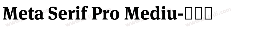 Meta Serif Pro Mediu字体转换